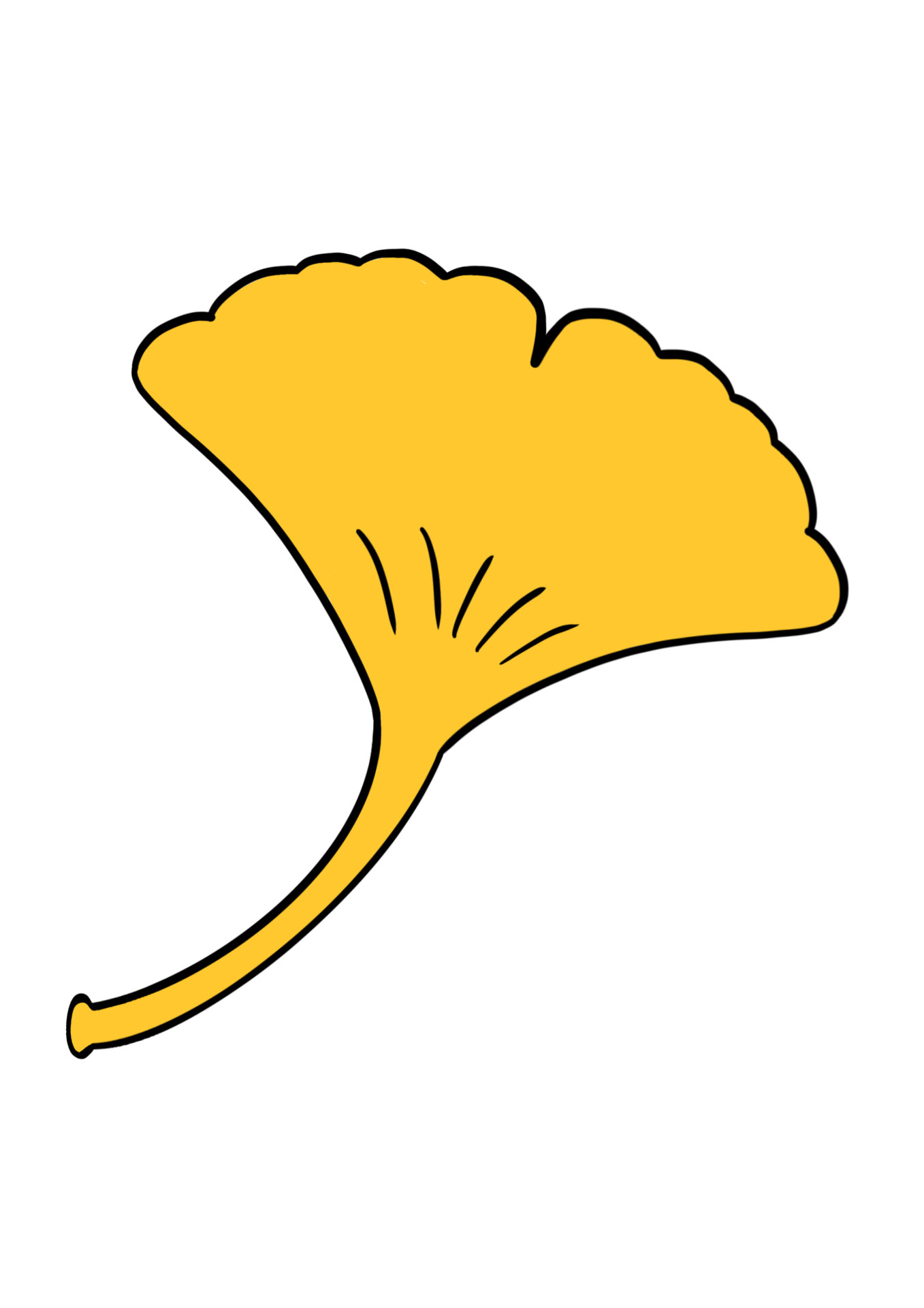 简笔画教程分享 银杏叶