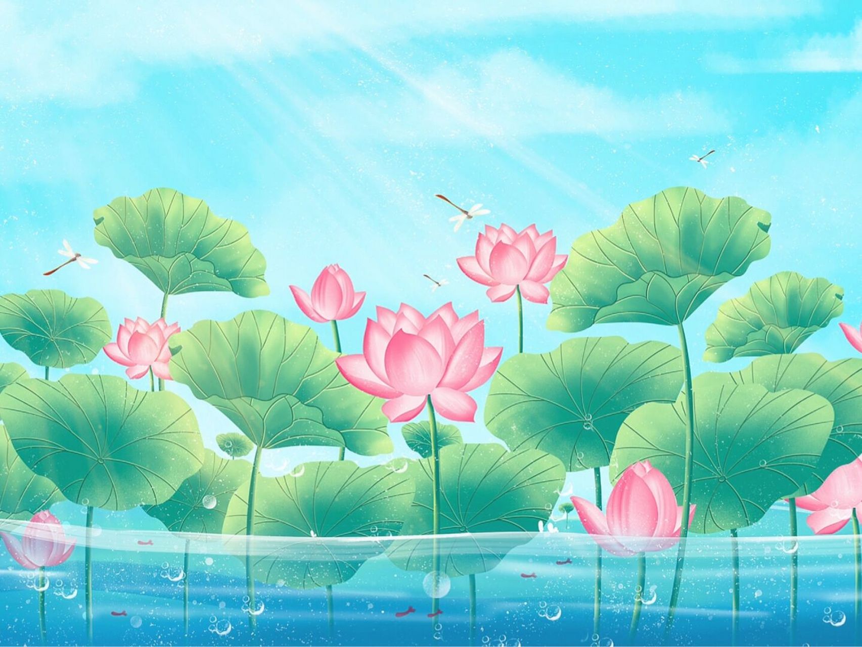 绿色大荷叶圆又圆 池塘满塘荷叶高低错落一起仰望天空 荷花红的,白的