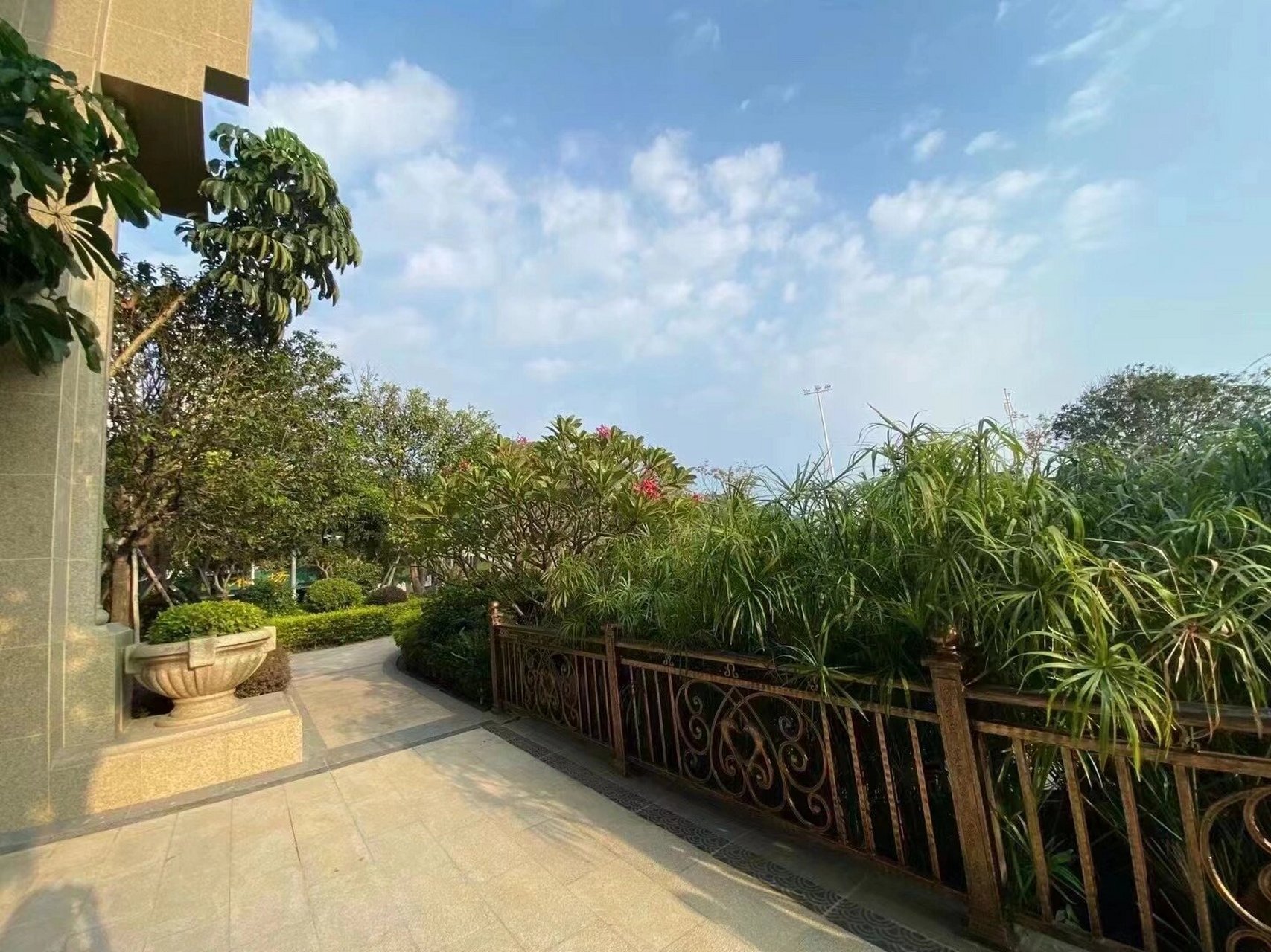 海滨路联泰~悦海湾~望海景 海滨路:联泰悦海湾(全海景) 高楼层  250