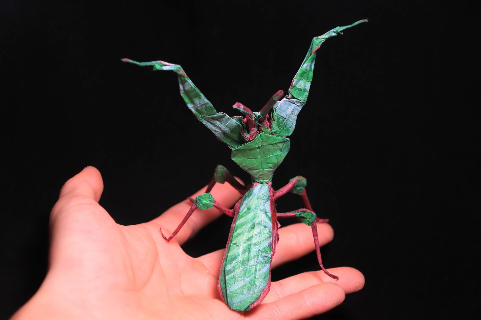 大魔花螳螂折纸-世界上最华丽的螳螂 大魔花螳螂 67设计&折拍:我