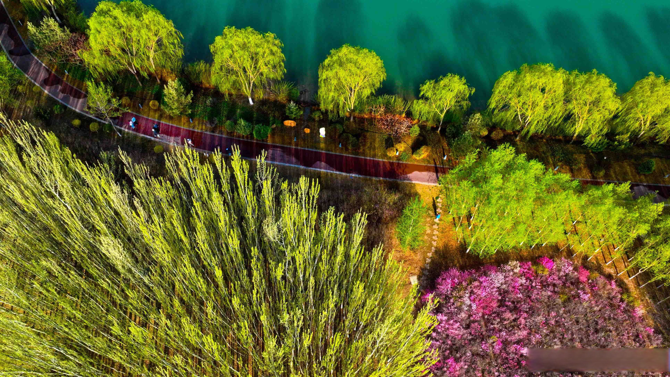 张掖身边事##张掖旅游# 【张掖:美好生态引客来】张掖芦水湾生态景区