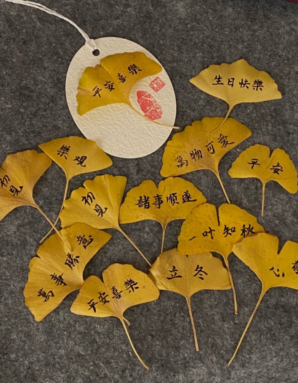 银杏叶书签 也可以很浪漫. 94希望疫情快快过去!