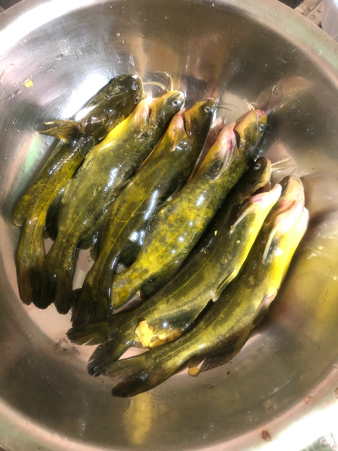 黄辣丁家常做法