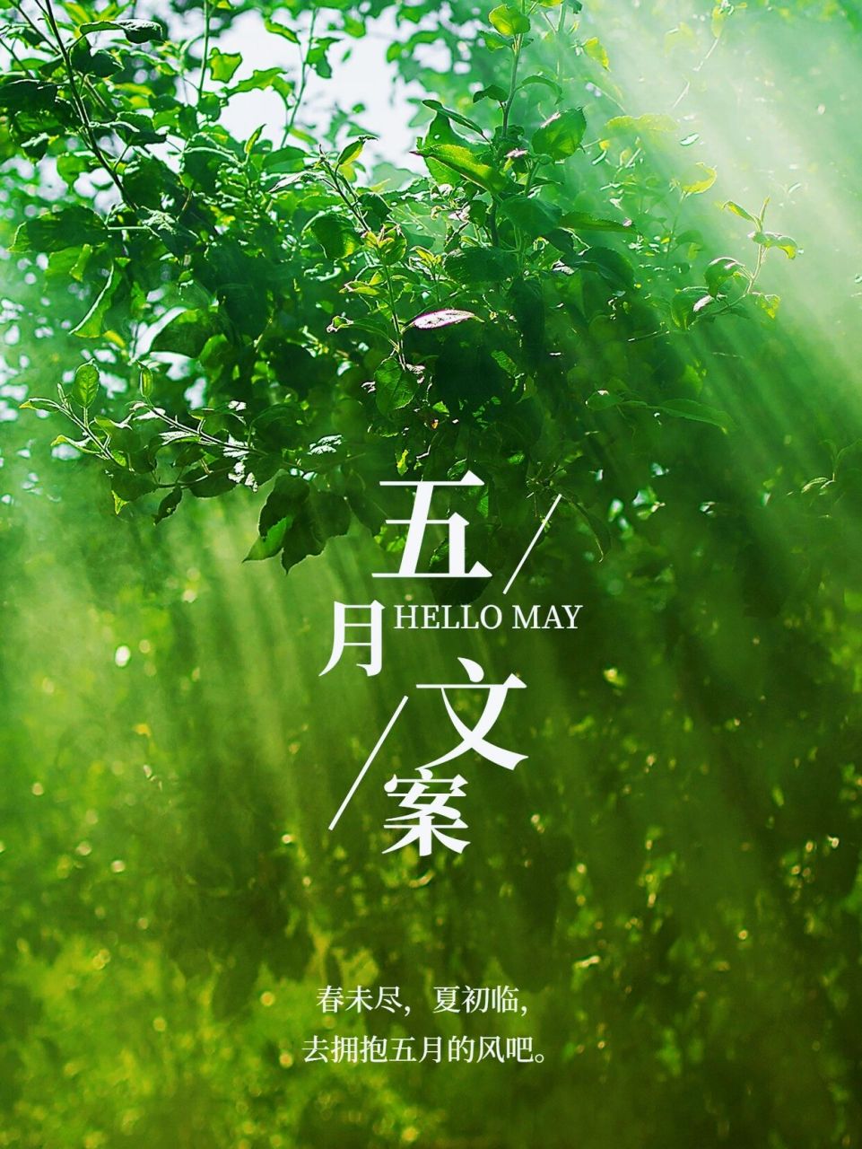 五月文案97|温柔可爱句子|适合发朋友圈 92五月文案分享: 1.