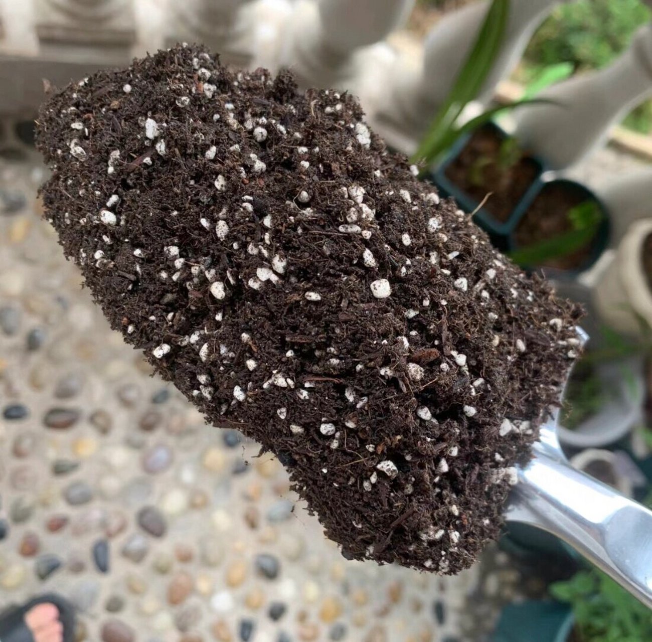 营养土的制作五步骤 今天教朋友们自制营养土,养分旺盛,肥力强,种菜