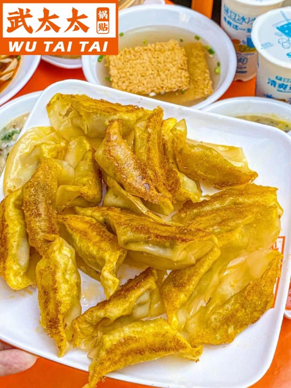 爱上武太太的100个理由75锅贴饺算一个 终于找到了我心心念念的锅贴