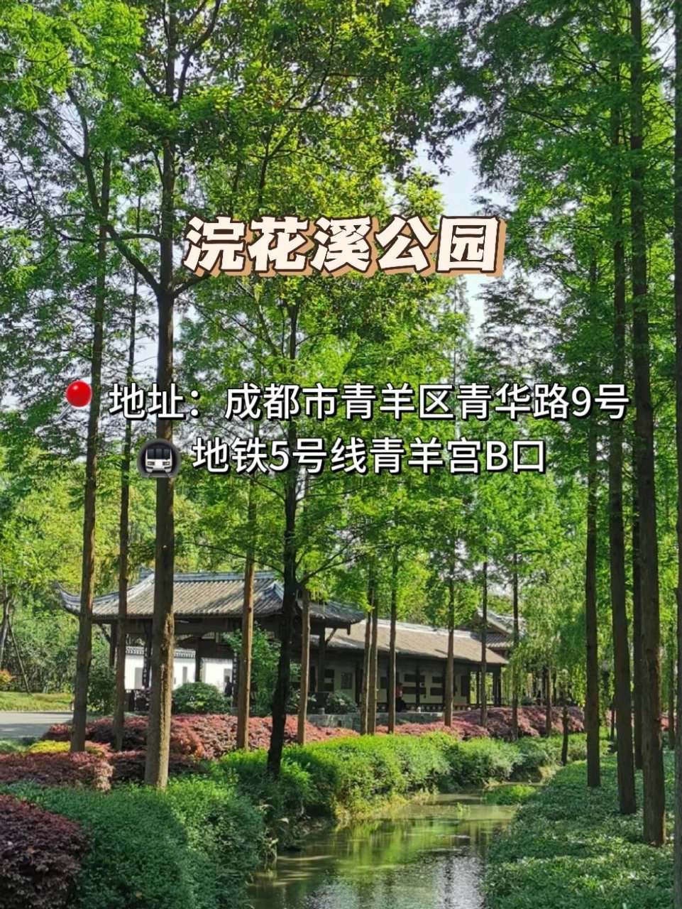 93 - 166 浣花溪公园 95: omg! 这里简直就是成