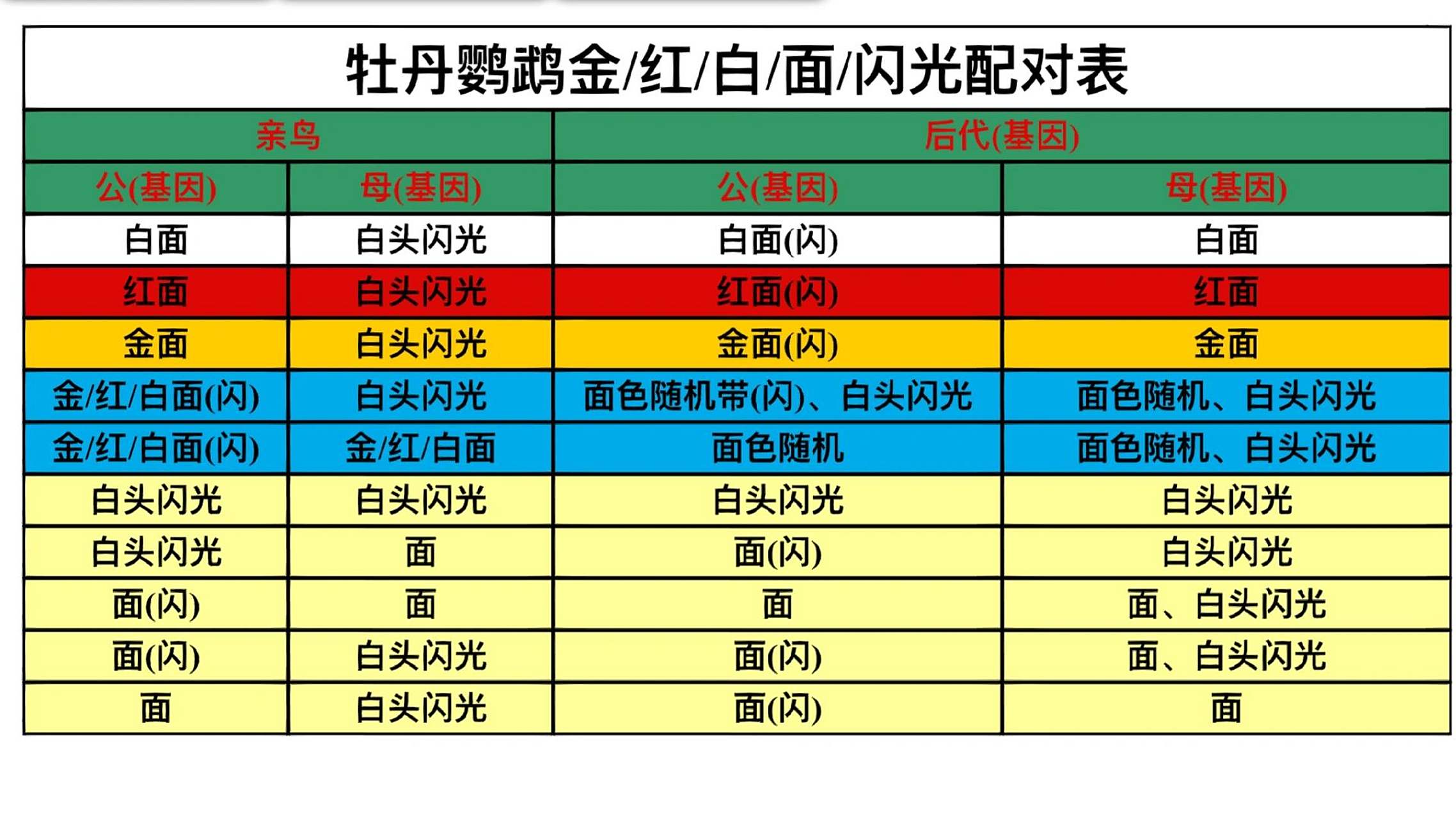 牡丹鹦鹉配对表
