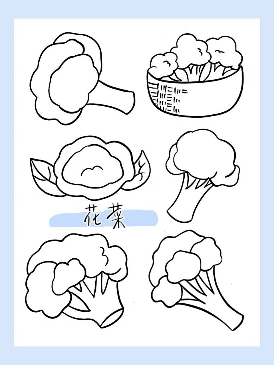 简笔画|花菜34/100 060606