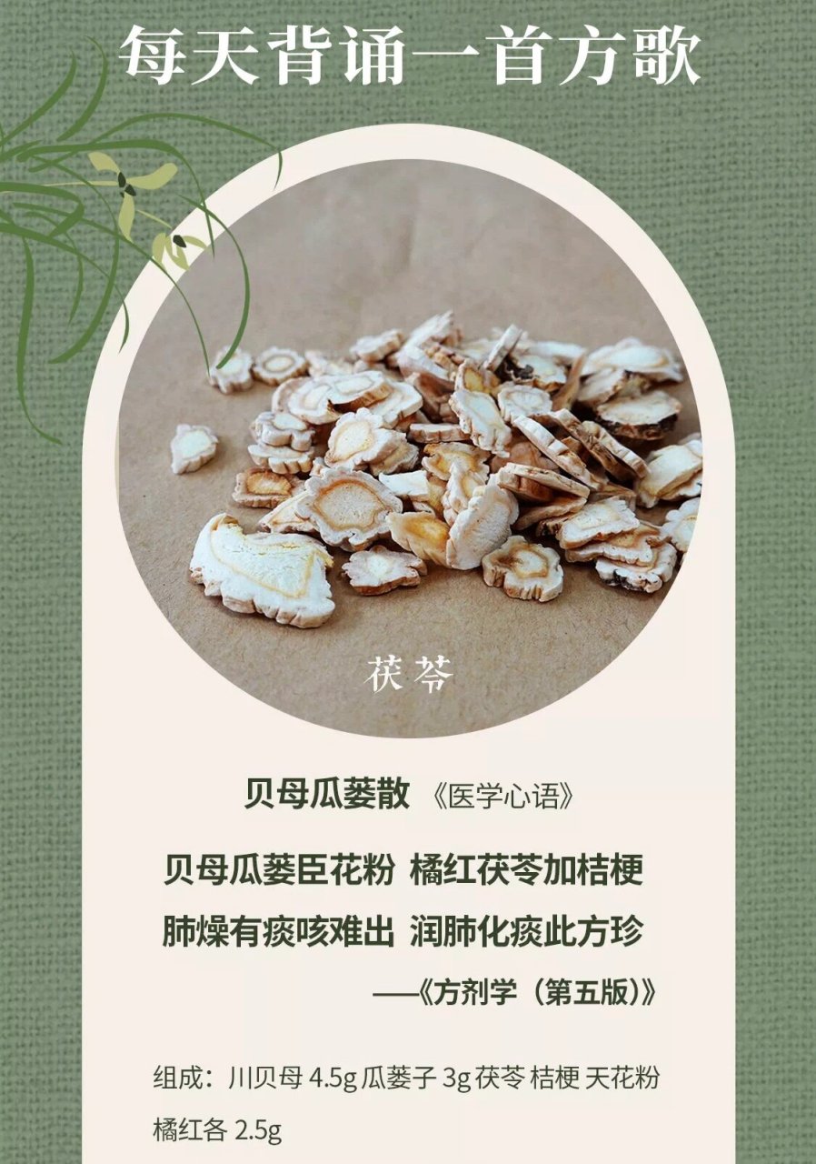 每天背一首方歌丨治燥痰咳嗽之贝母瓜蒌散 阅读理解 主治燥痰咳嗽,是