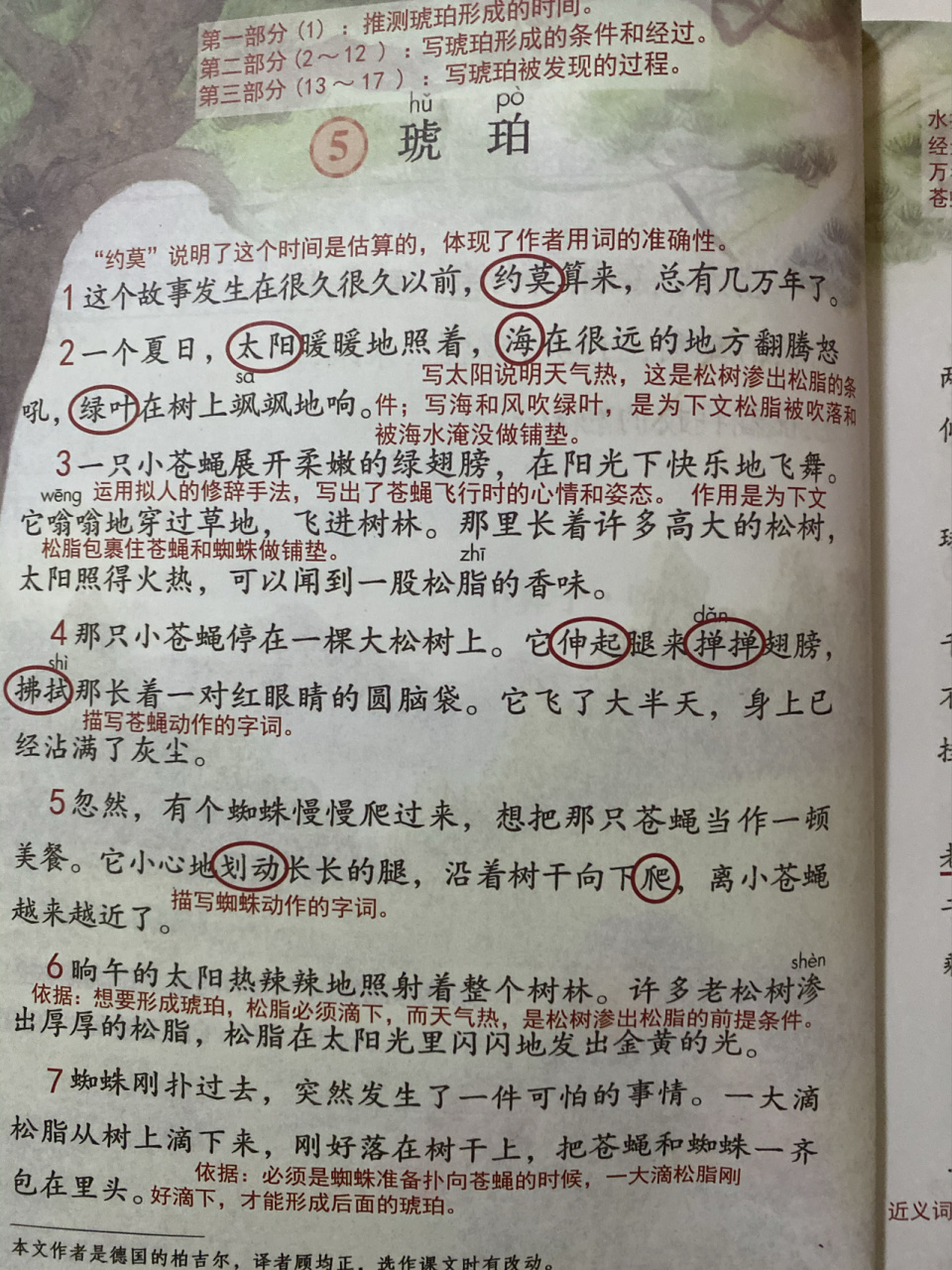 「课堂笔记」四下5《琥珀》 本课是一篇说明文,也可称作科学小品.