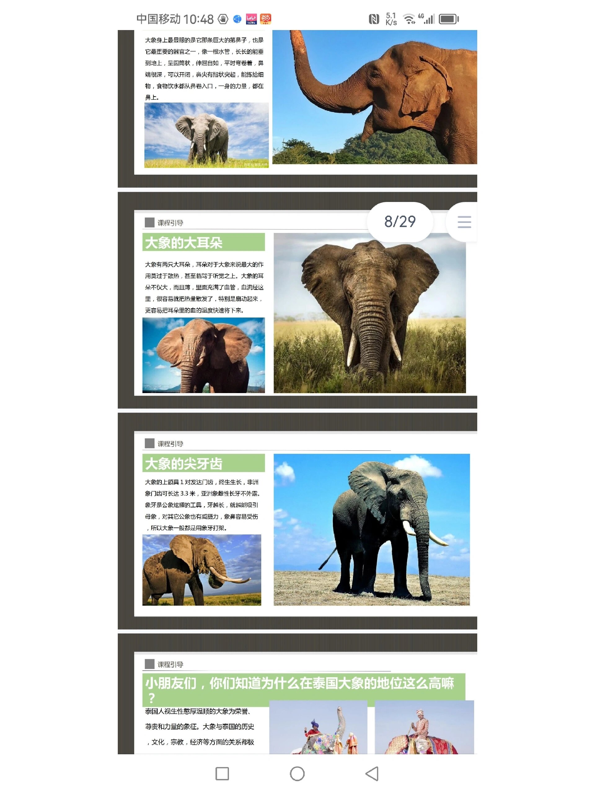 美术课件《大象的长鼻子》