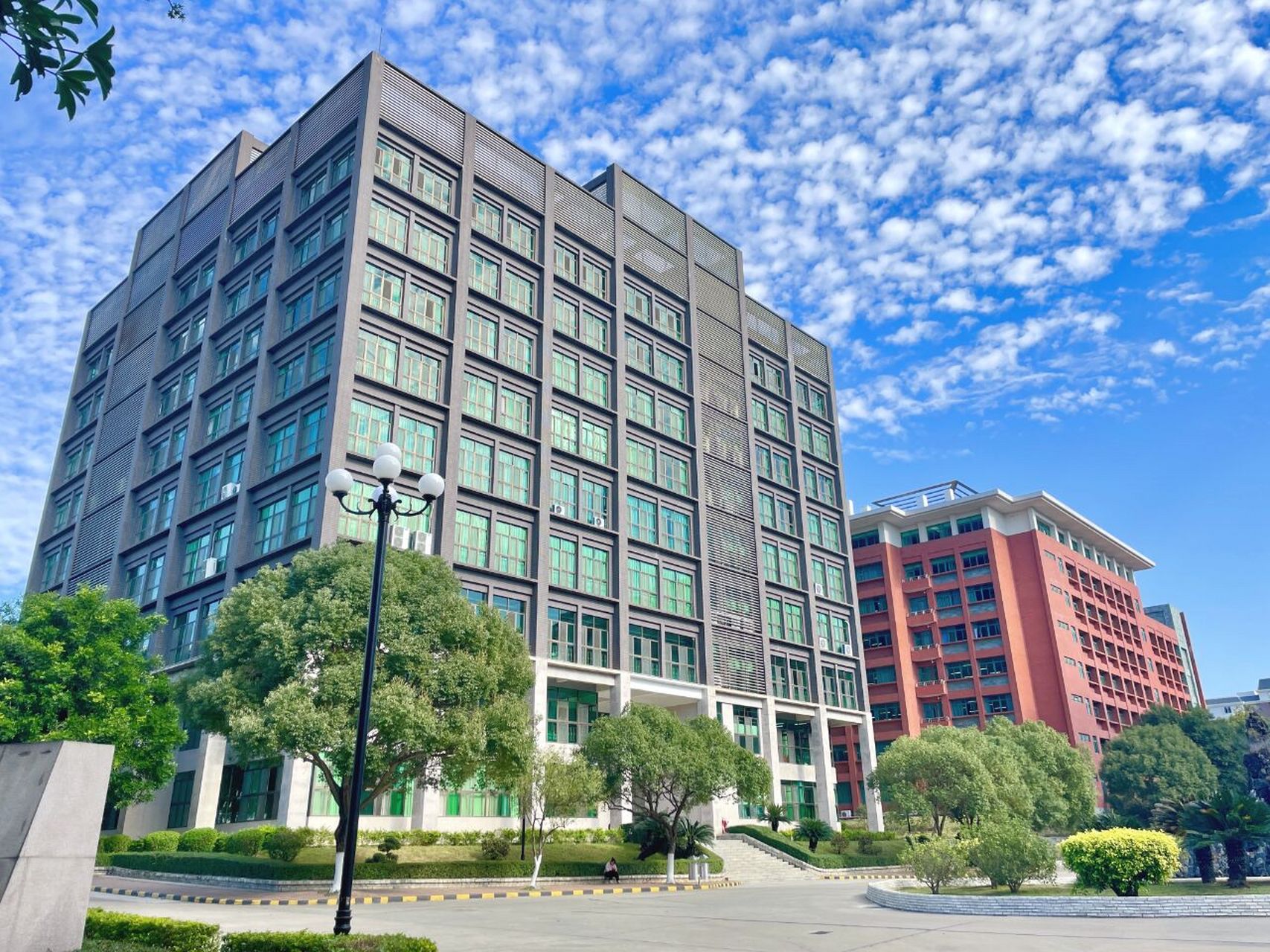 广东省华立技师学院 #校园环境 清晨的阳光,草地上的露水,树枝上的耨