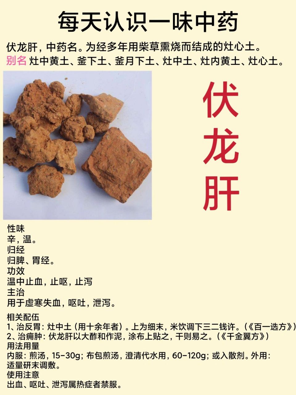 龙狗肝的别名图片