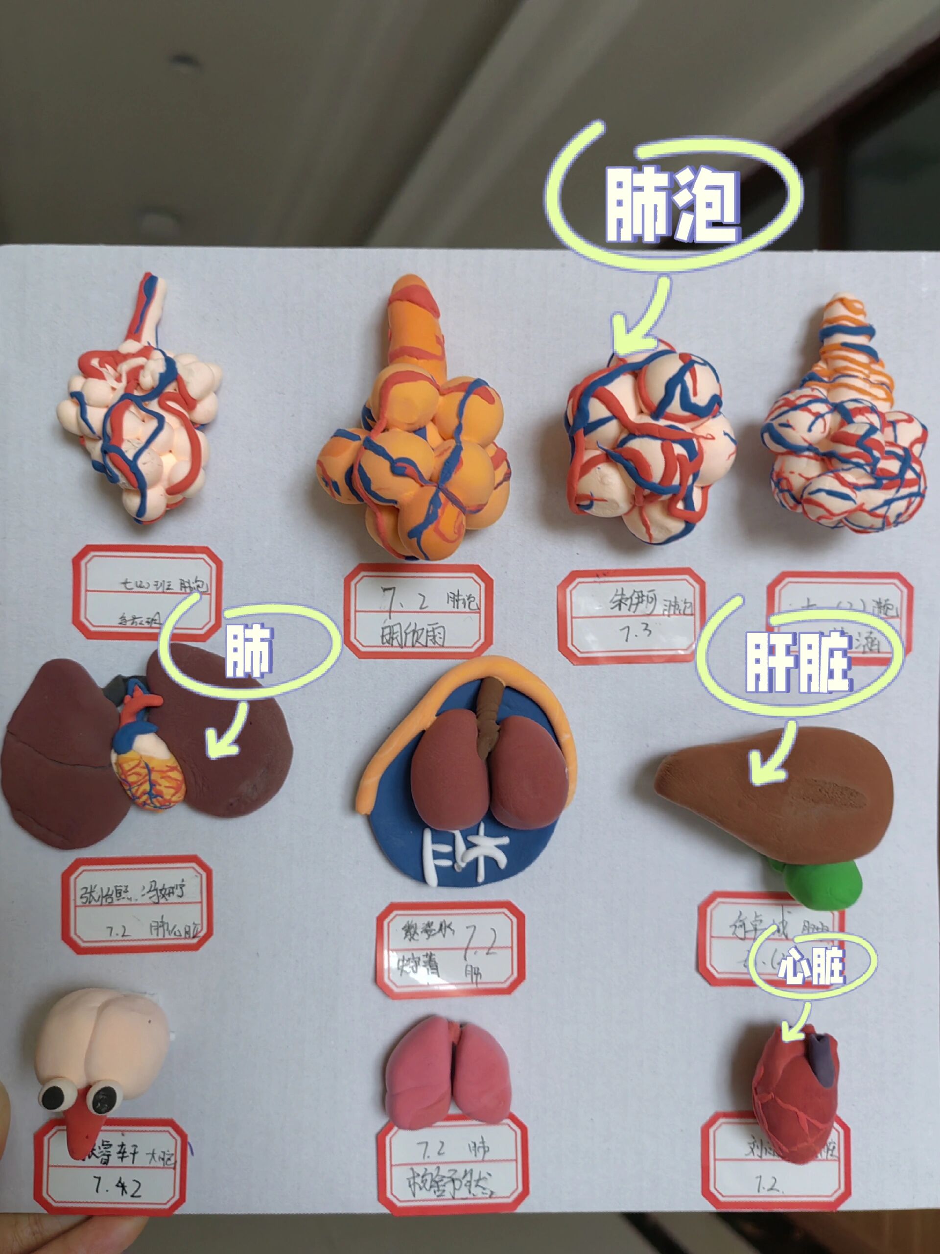 粘土捏人体图片