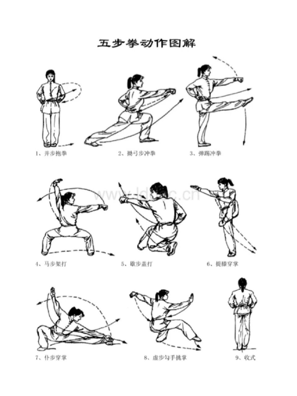 五步拳動作圖解(ai版本) ①並步抱拳②拗弓步衝拳③彈踢衝拳④馬步架