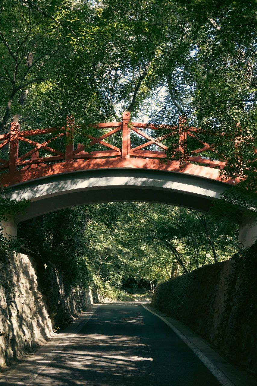 南京中山植物园北园 躺在草坪上很休闲,还有鸽子,不过蚊虫多,而且现在