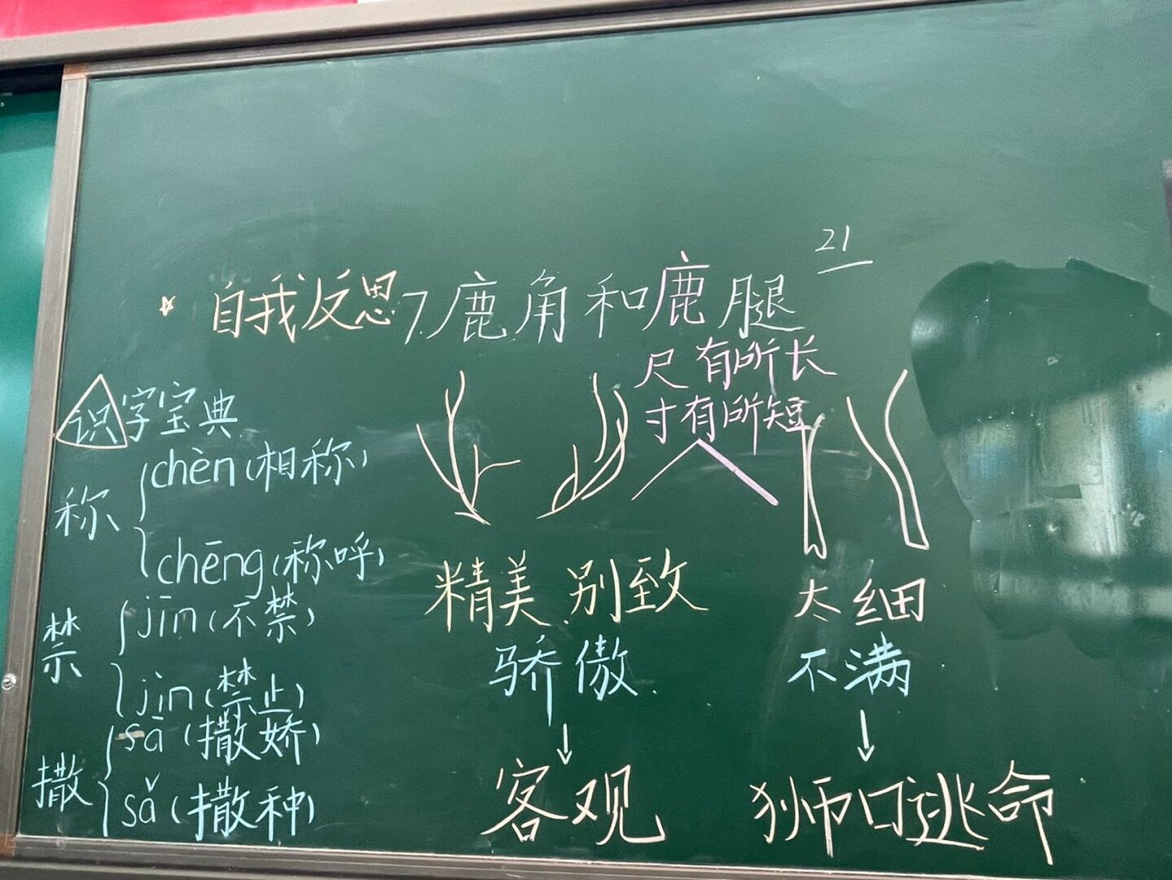 三年级下册语文板书——鹿04角和鹿腿