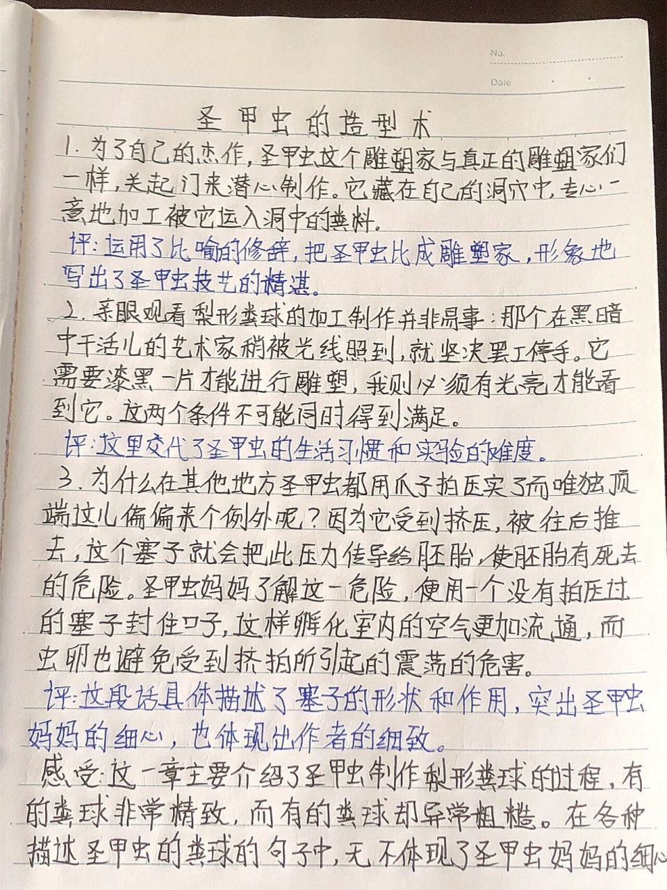 昆虫记读书笔记 第20章 圣甲虫的造型术