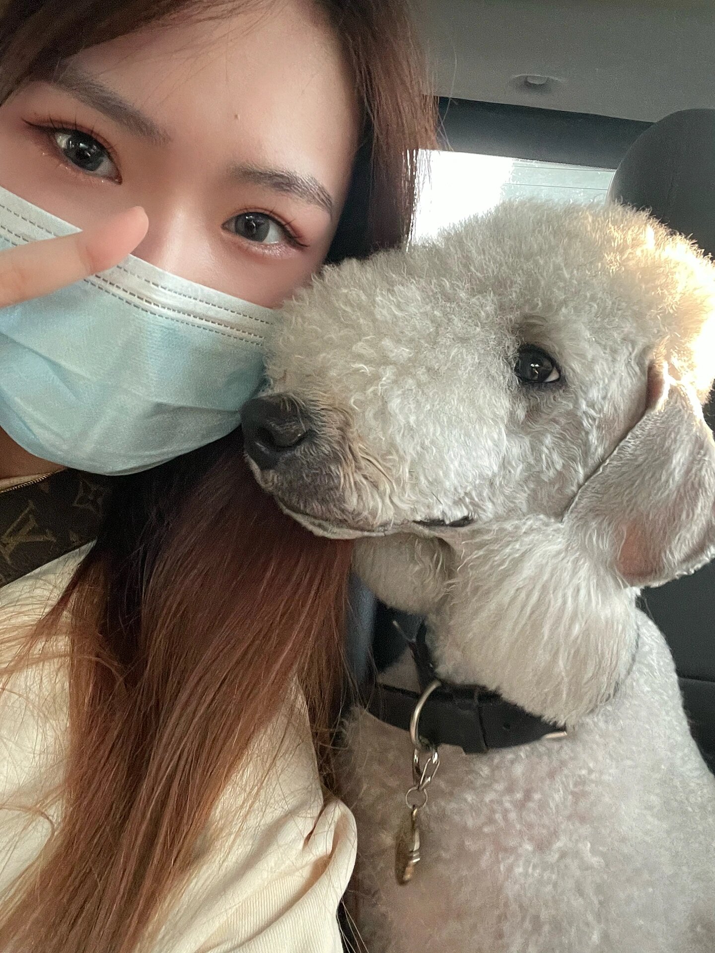 贝林顿梗|是你吗 史努比98 其实史努比的原型是比格犬,但是明明贝林