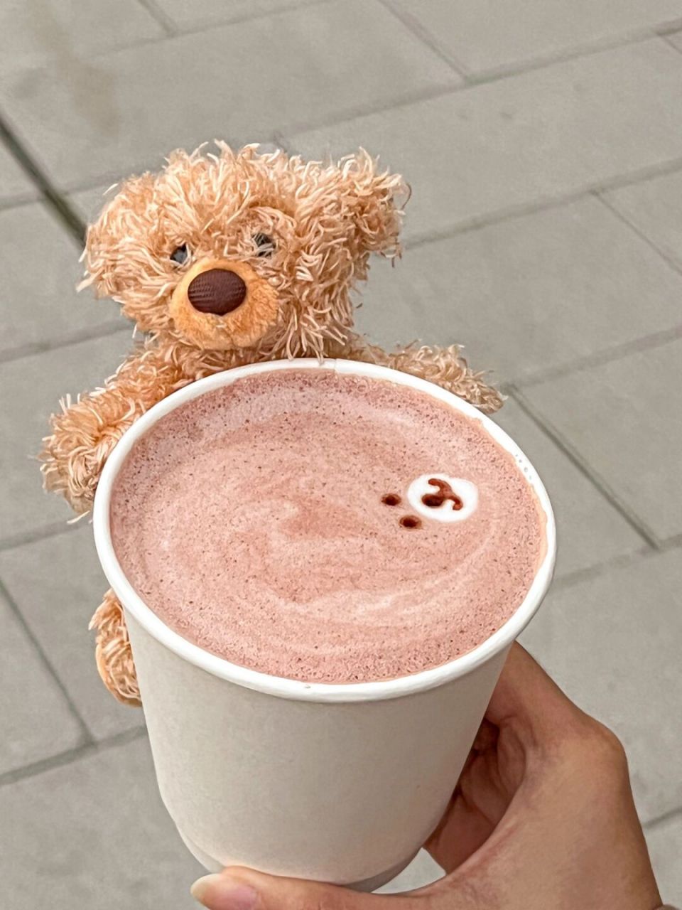 上海毛绒小熊咖啡快闪936天后就消失…… 买咖啡送小熊,小熊趴在