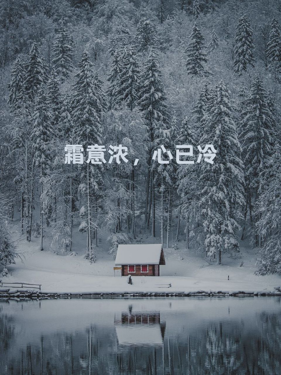 女人心寒的网名 9215 遗忘在冬季 94 孤独的冰霜女皇 99 寒影