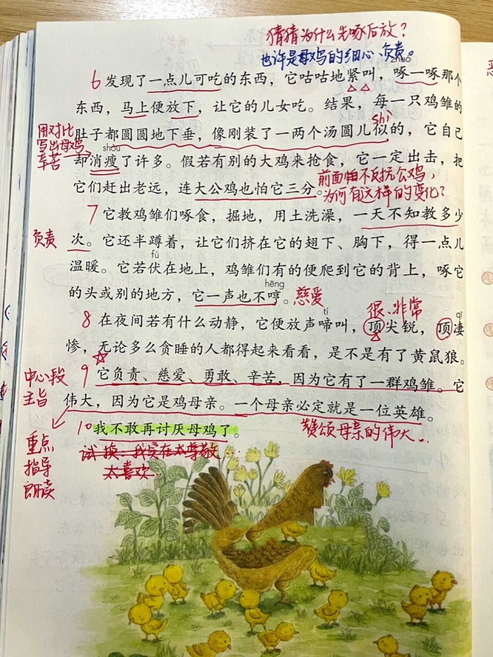 课文笔记|四下第14课《母鸡》 开学第一天,忙!抽空更新!
