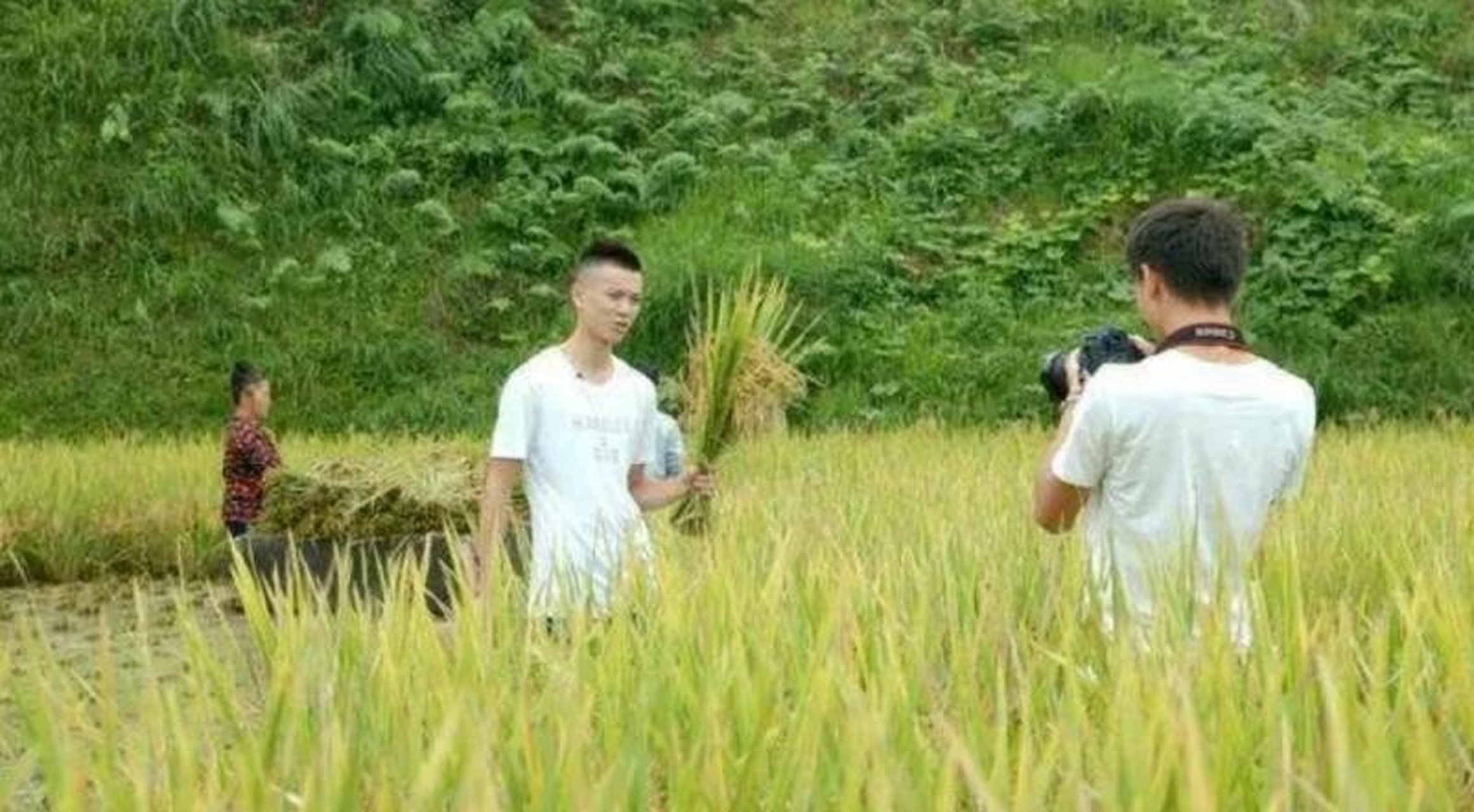 农民创业致富项目(农民最新创业好项目)