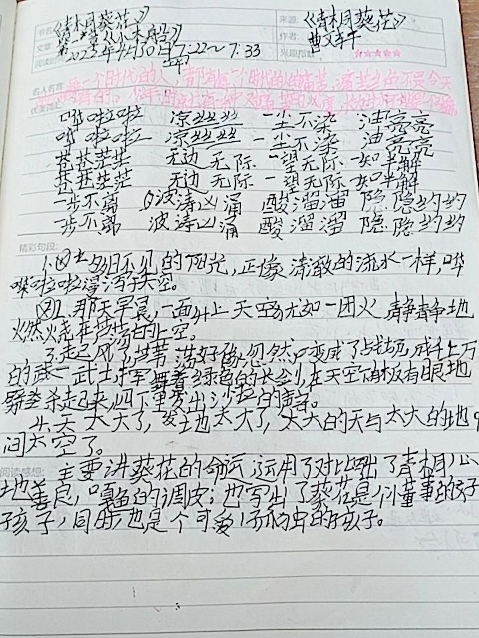 《青铜葵花》第一章,小木船