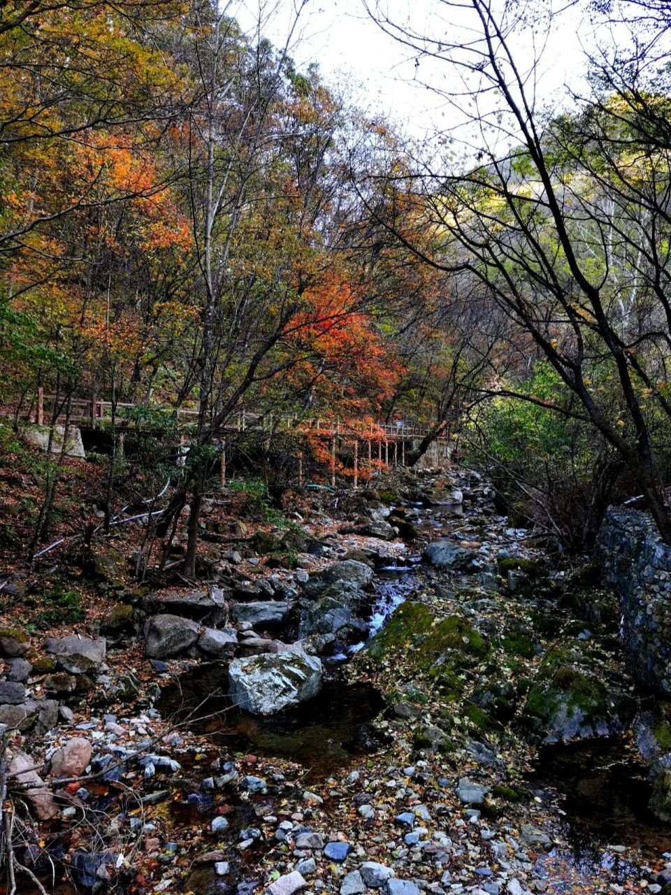 十一自驾本溪绿石谷森林公园 住在汤沟花溪沐附近,开车不用十分钟到