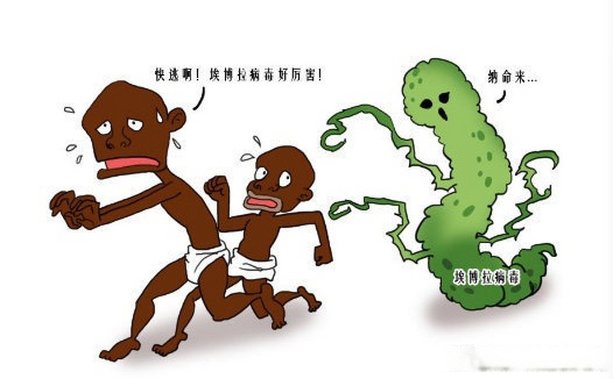 健康过冬指南#埃博拉是世界上最高级别的病毒之一 埃博拉病毒是趾很