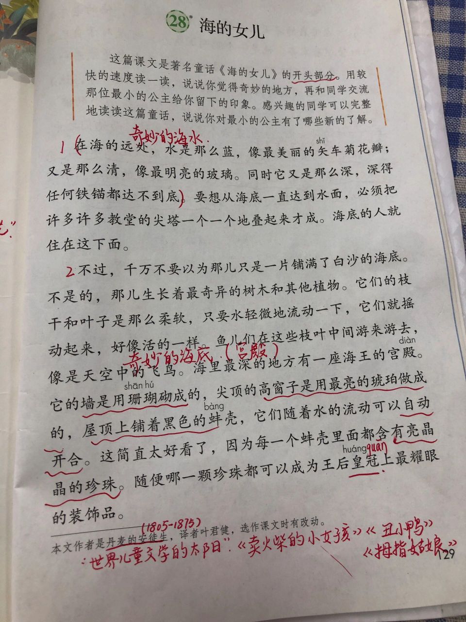 海的女儿课堂笔记图片图片