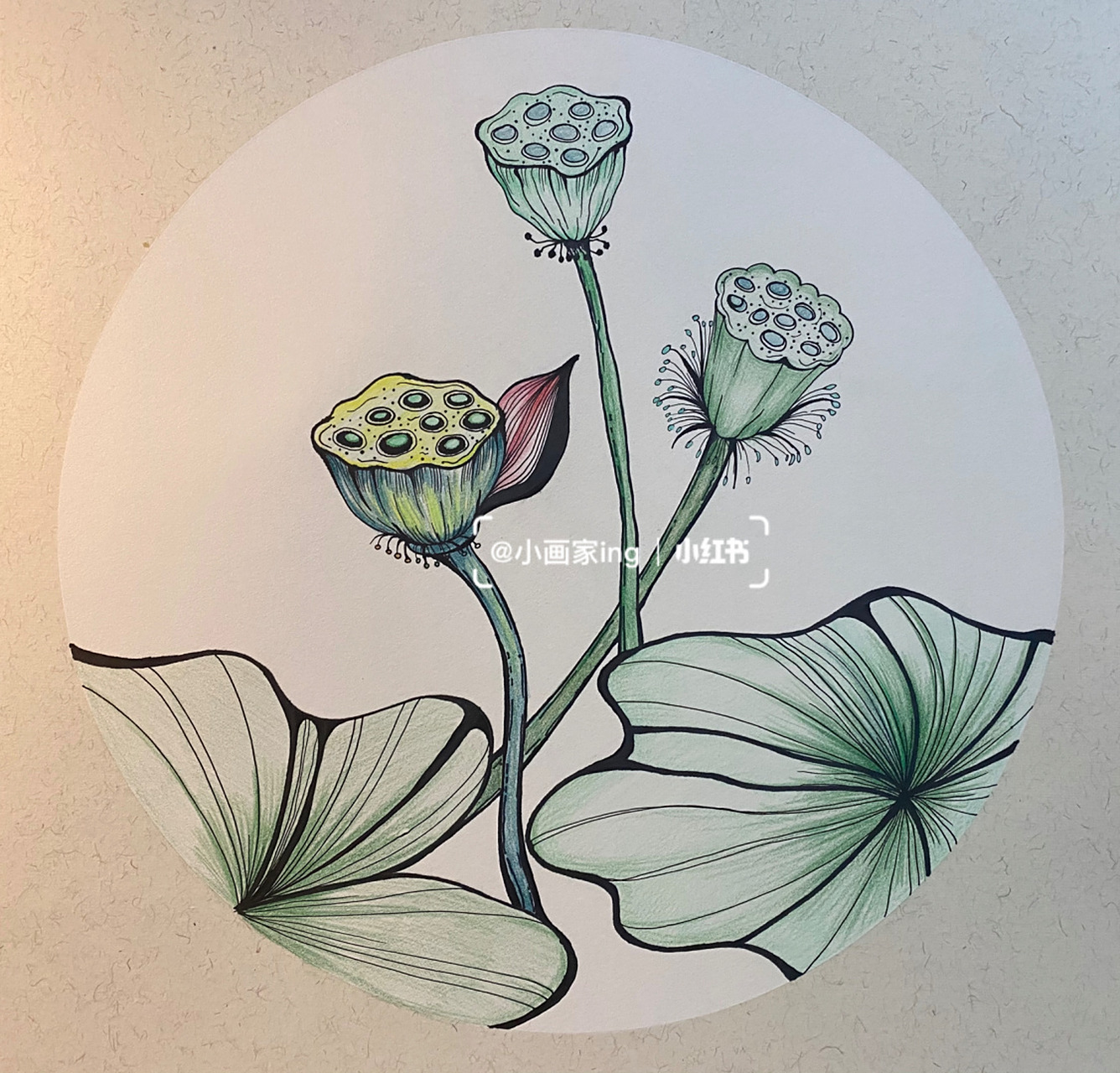 荷花莲蓬彩铅装饰画 #装饰画