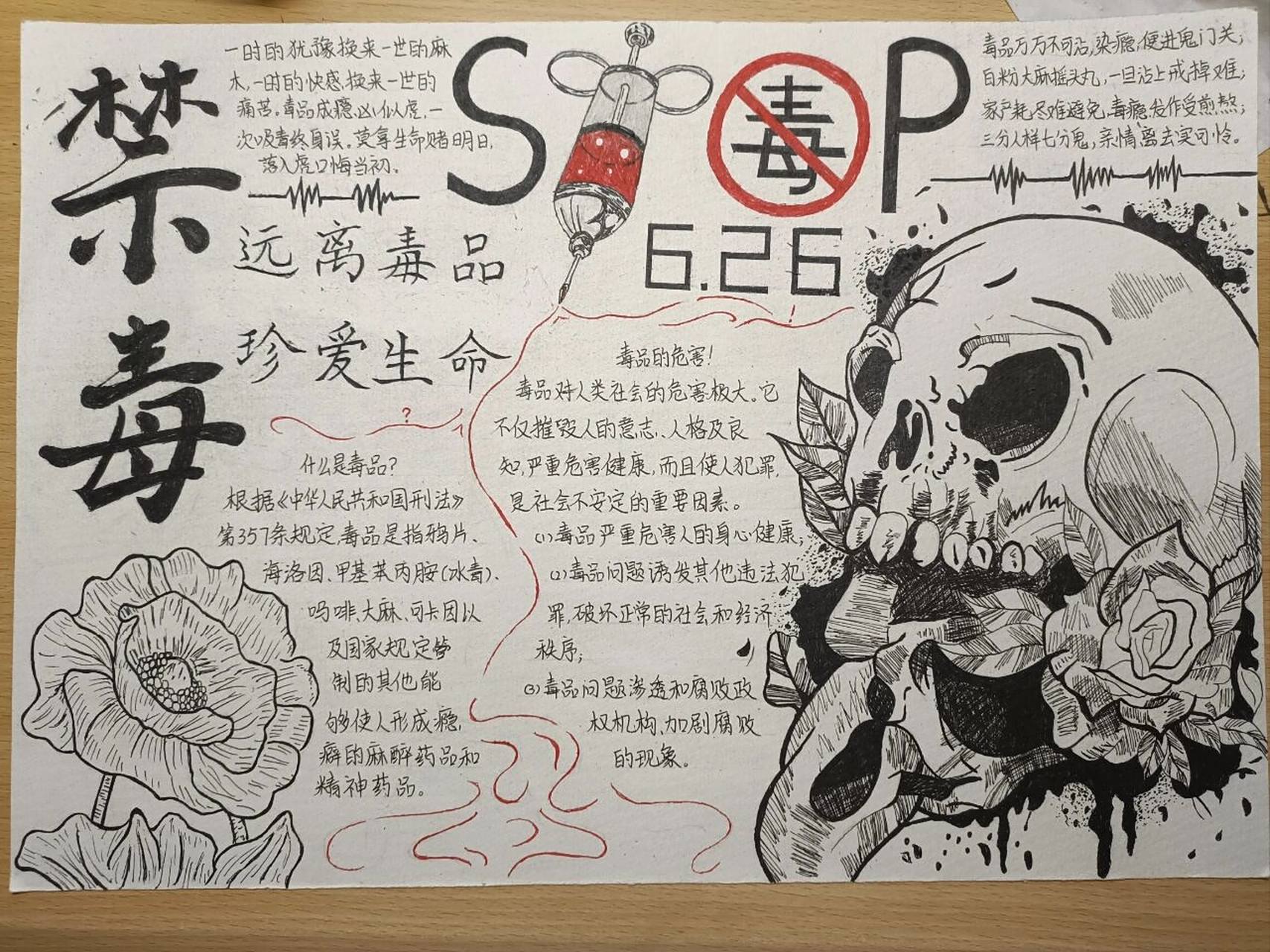 禁毒手抄报 骷髅头是临摹的6333256865