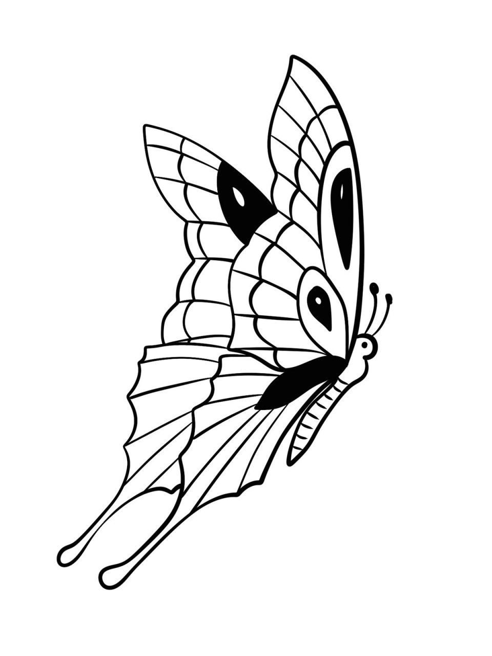 工具:ipad  pro2021 软件:procreate 笔刷:工作室笔刷(软件自带)