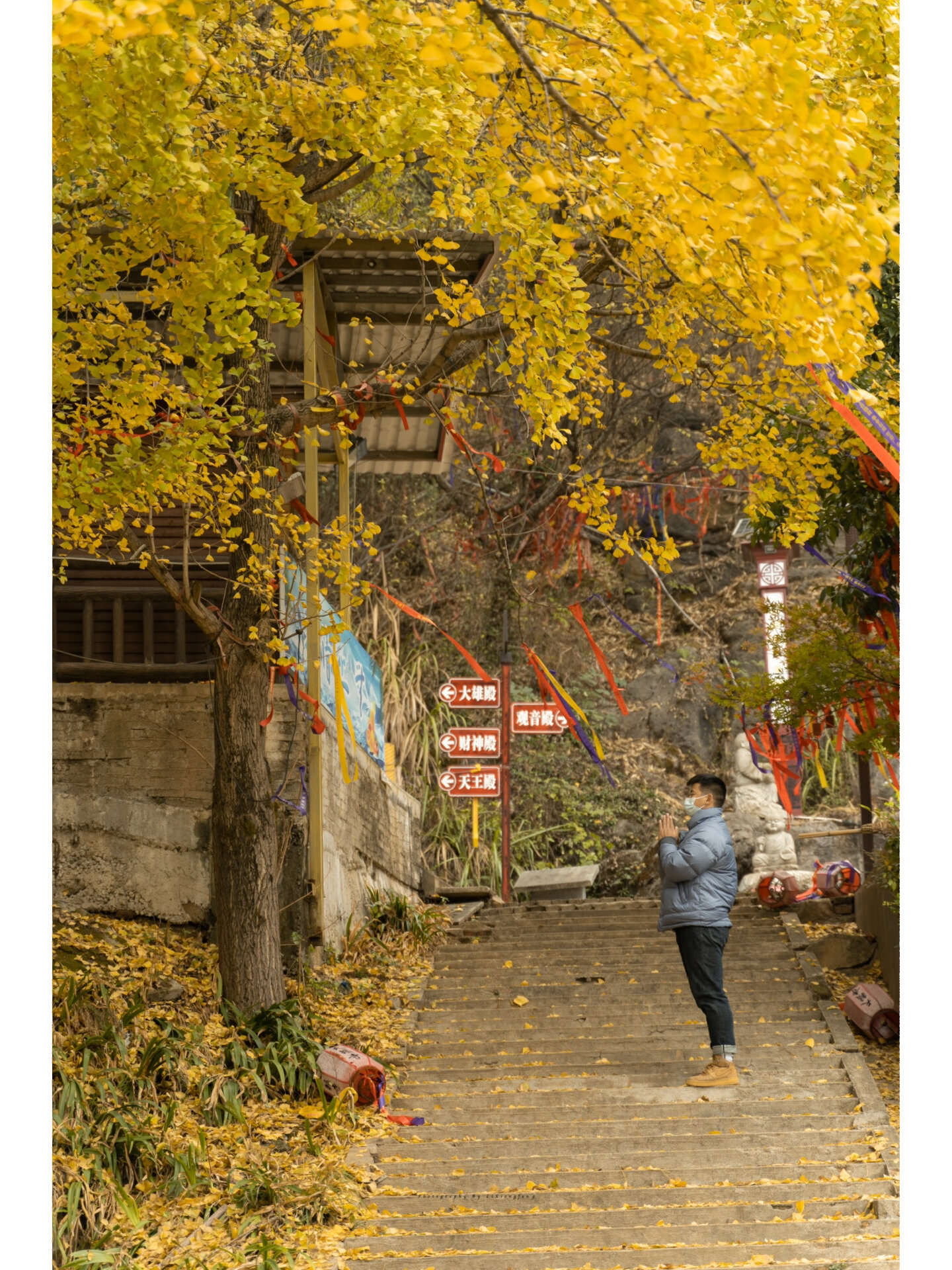 娄底天籁寺 | 银杏树黄了