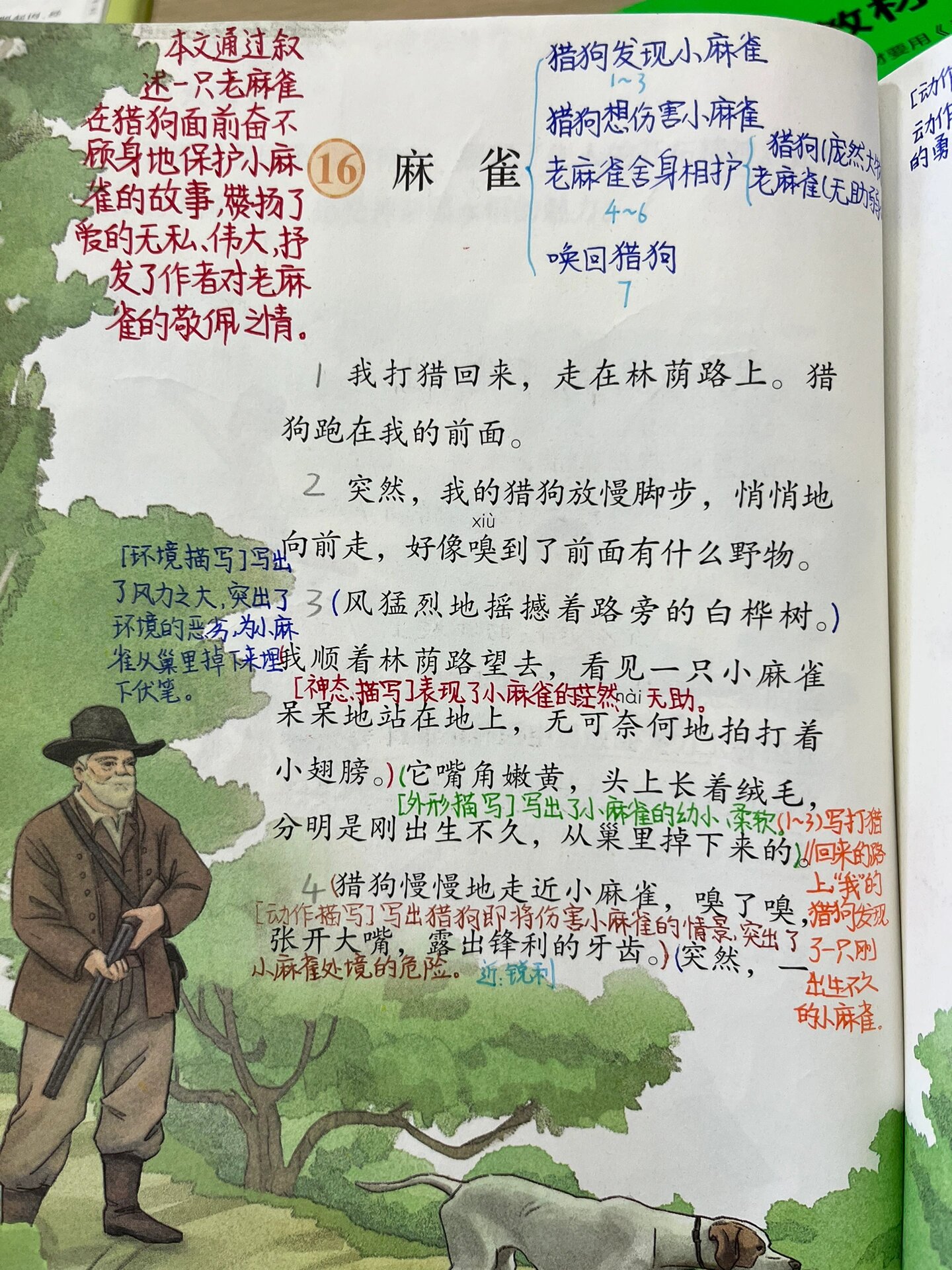 麻雀课堂笔记图片