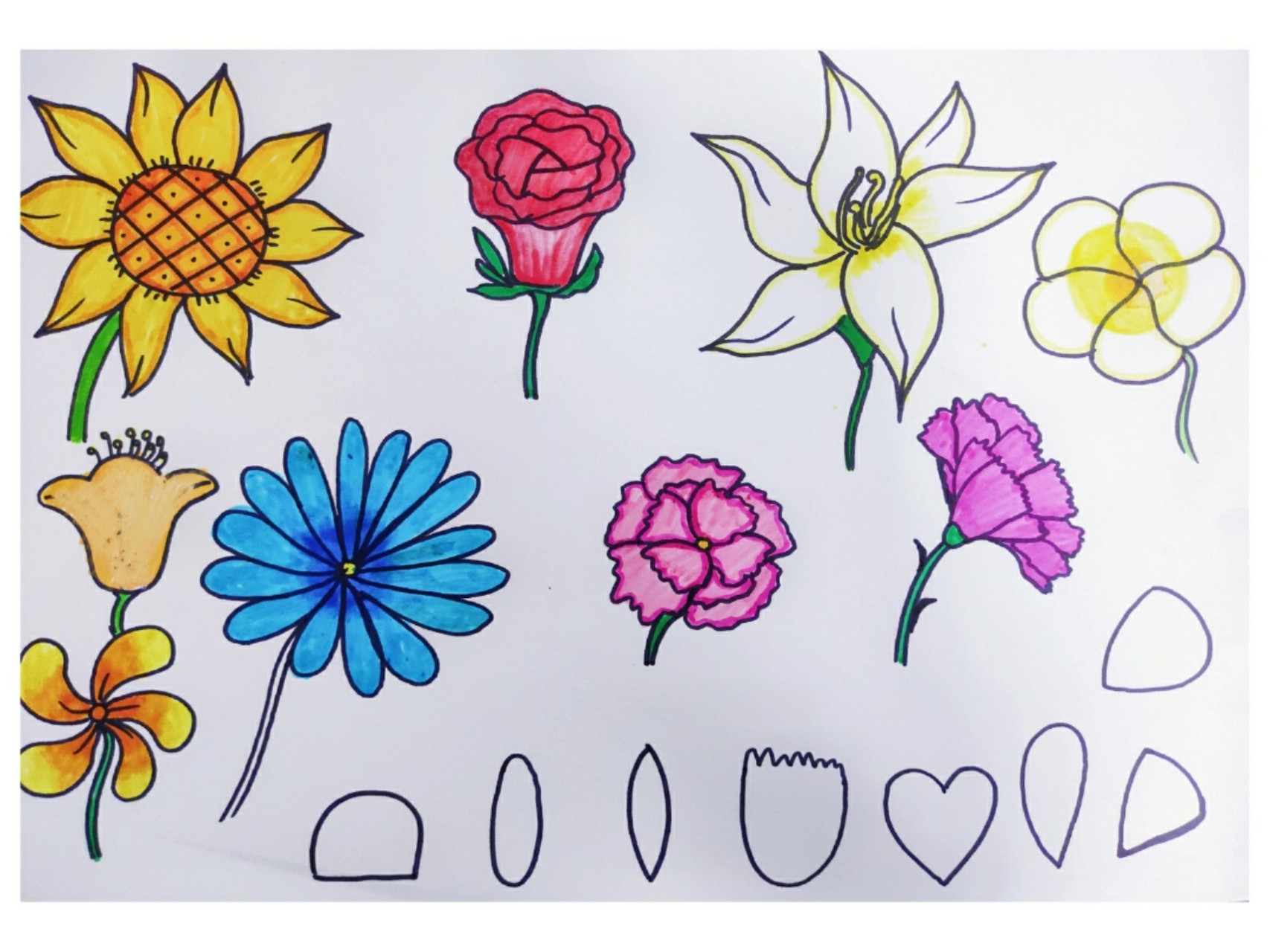 花与花瓶简笔画 部分花朵96的单体和完整作品,喜欢记得点赞收藏哦