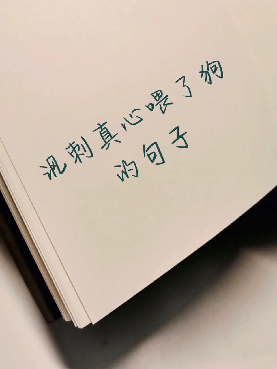 讽刺真心喂了狗的句子 95你不能让所有人满意,因为不是所有人都是人