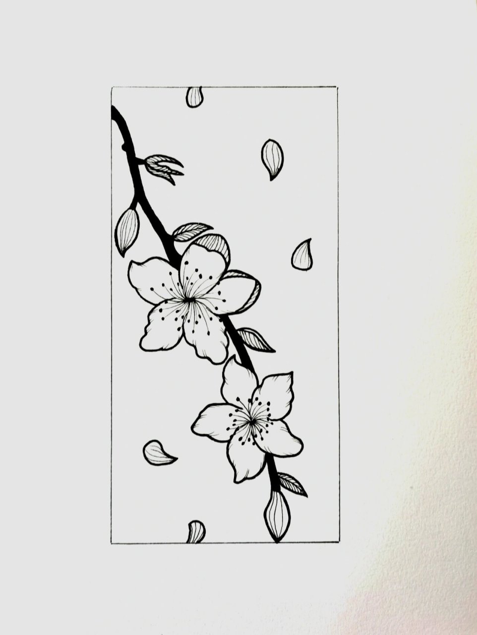 针管笔黑白简笔画/桃花