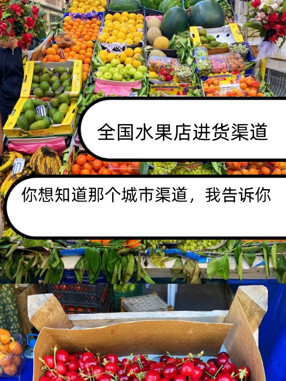 全国水果店进货渠道 国内出名的进口水果批发市场,广州江南,上海 辉展