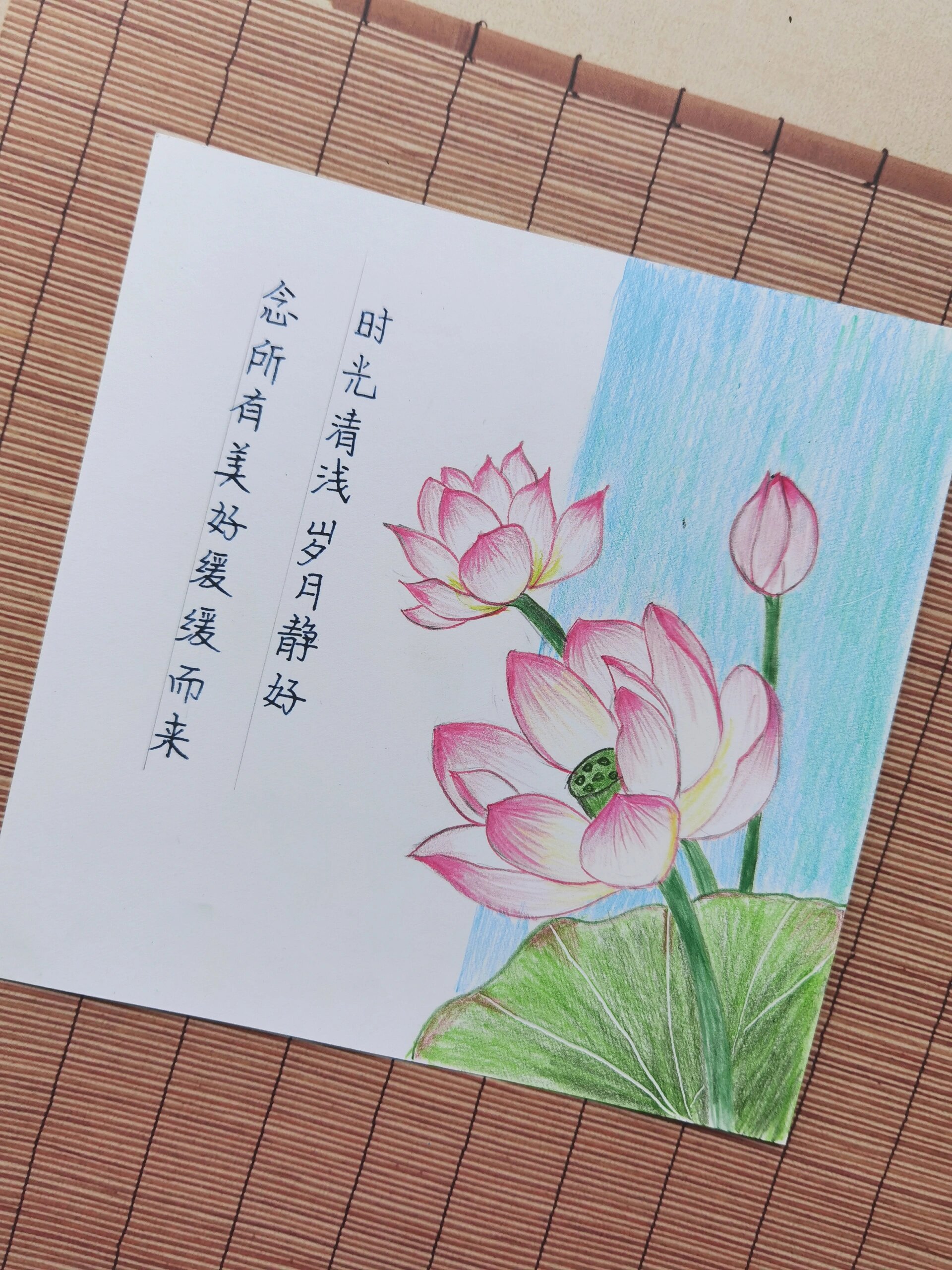 彩铅画荷花何花图片