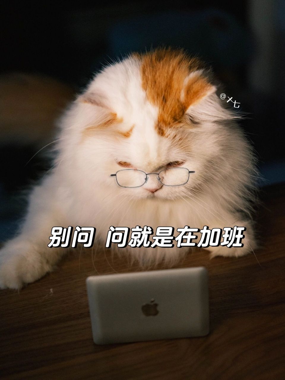 加班表情包 💦 打工人的一周从加班开始 周一从加班开始,广告人真的