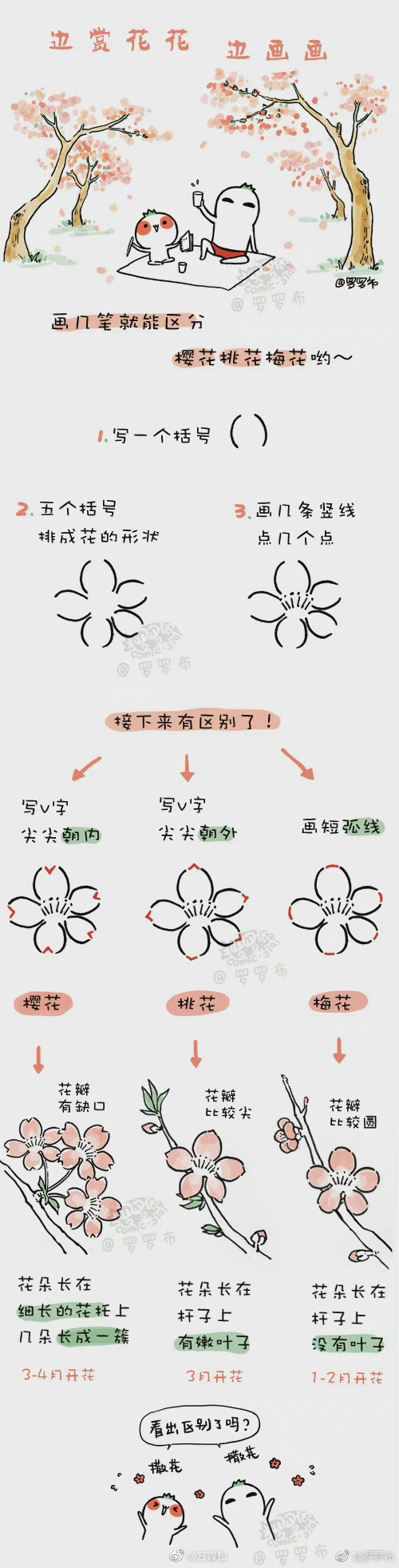 樱花梅花桃花区别图片