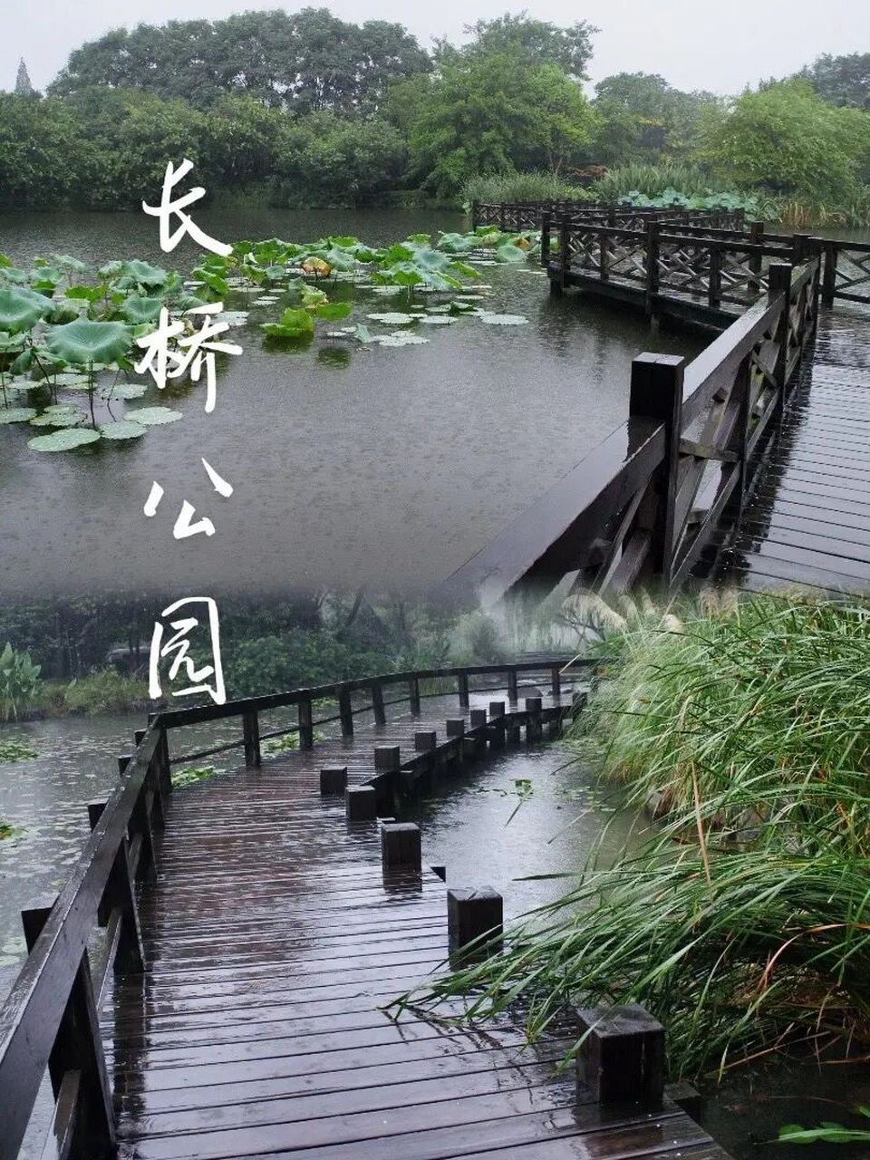 长桥公园|杭州旅游 7915长桥不长,断桥不断,孤山不孤,称为西湖