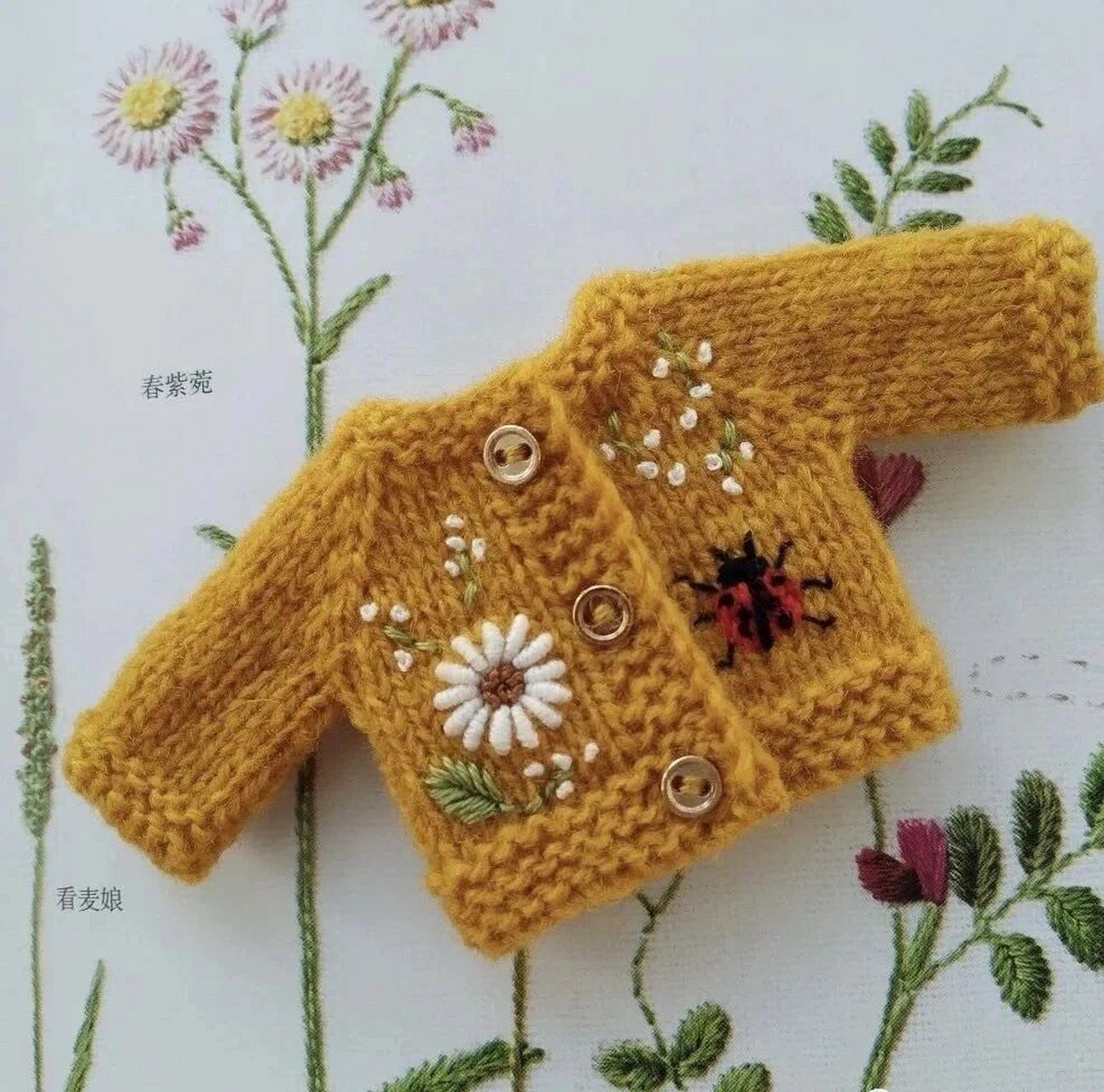 毛线娃衣刺绣欣赏(二) 一组漂亮的娃衣刺绣作品,无图解哦