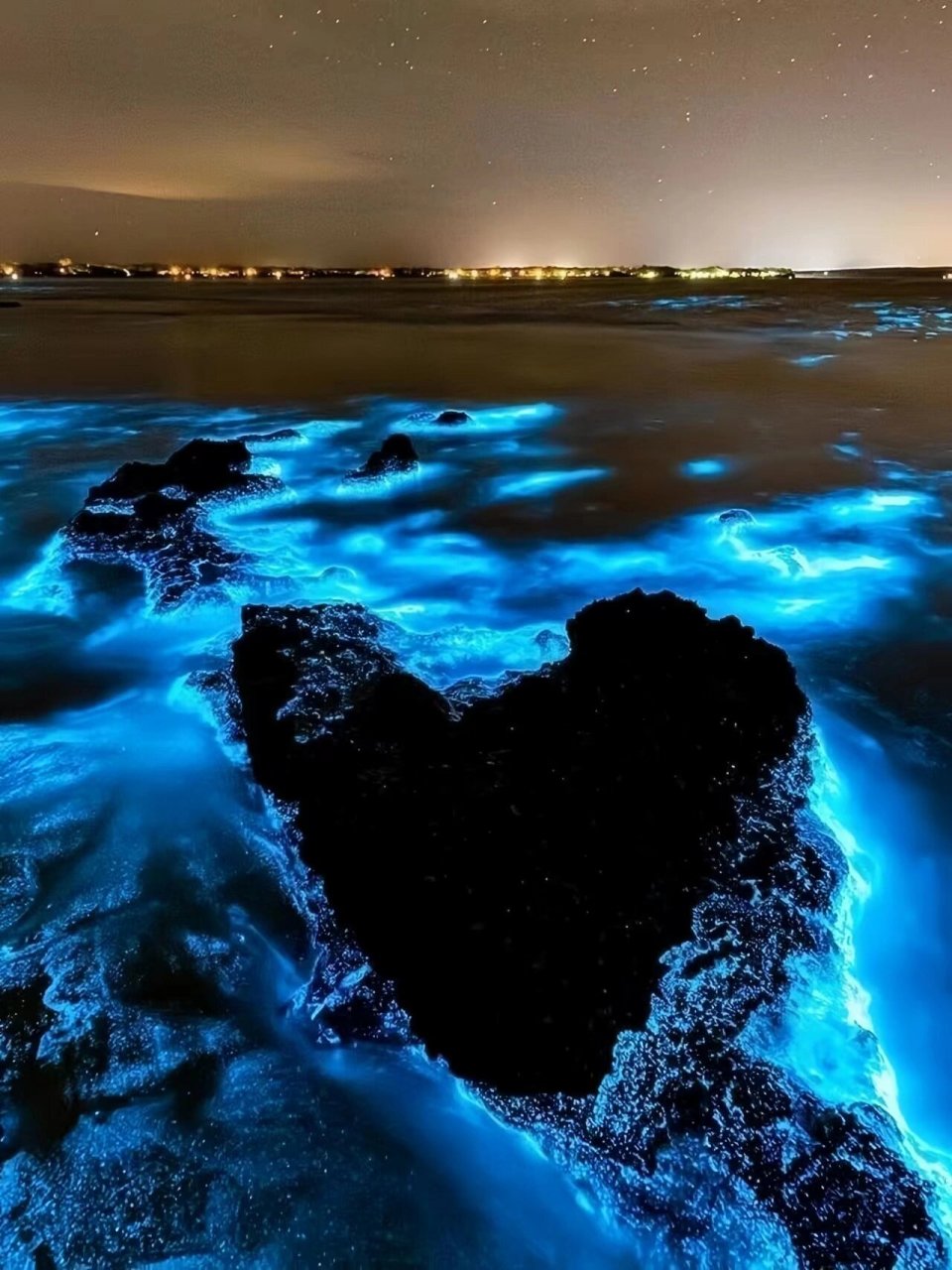 澳洲蓝眼泪 | 浪漫预警78海洋里的星尘极光 78深邃湛蓝的海面