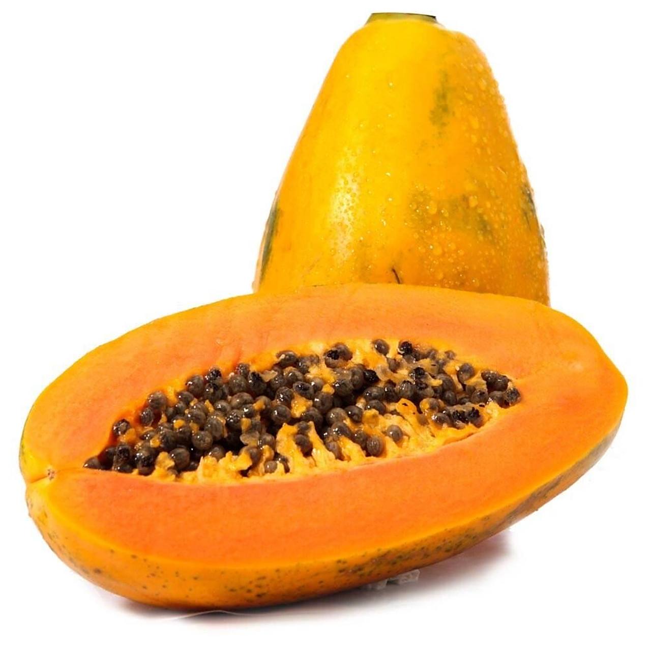 木瓜图片素材|美术课用写生素材