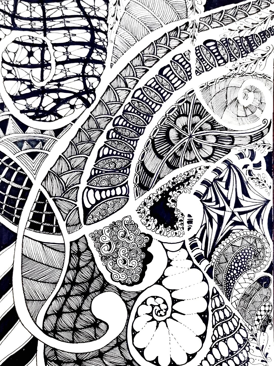 六年级上册《黑白装饰画》教师范画