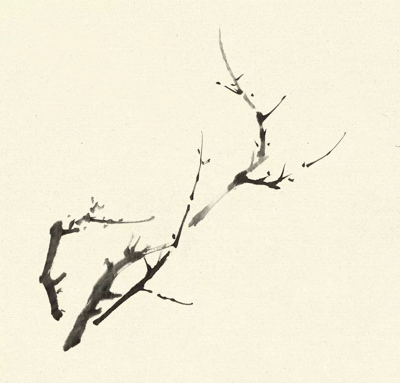 水墨白梅花作画步骤,小白一学就会 "梅须逊雪三分白,雪却输梅一段香.